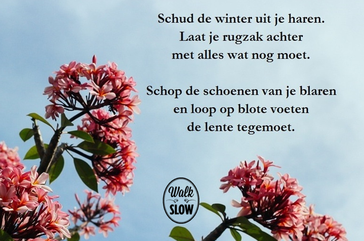Lente